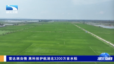 雷达测虫情 黑科技护航湖北3200万亩水稻
