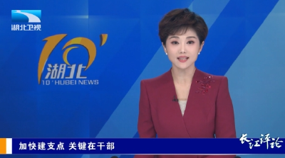 长江评论：加快建支点  关键在干部