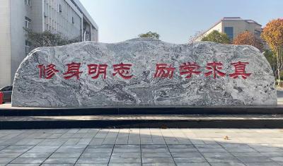 技能报国显担当！湖北水职院学子以匠心筑梦，书写青春华章