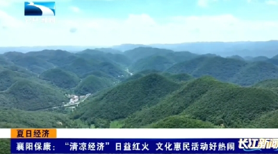 襄阳保康：“清凉经济”日益红火 文化惠民活动好热闹