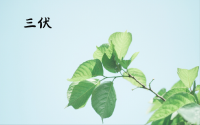 三伏天做4件事，能帮你养生！