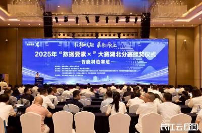 2025年“数据要素×”大赛湖北分赛智能制造赛道决赛举行