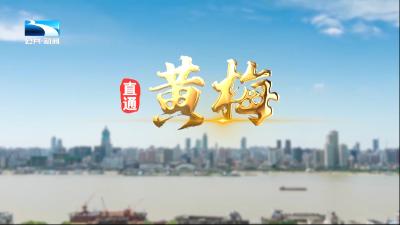 直通黄梅 | 打响水利建设攻坚战 一渠清水润民心