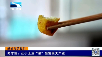 向才安：让小土豆“滚”出富民大产业