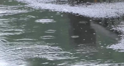东北地区仍有强降雨天气 南方高温先减后增