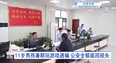 11岁男孩暑期玩游戏遇骗 公安全额追回损失