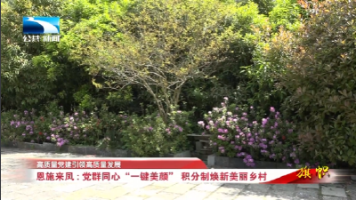 高质量党建引领高质量发展∣恩施来凤：党群同心“一键美颜” 积分制焕新美丽乡村