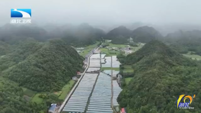 2025年8月15日湖北十分