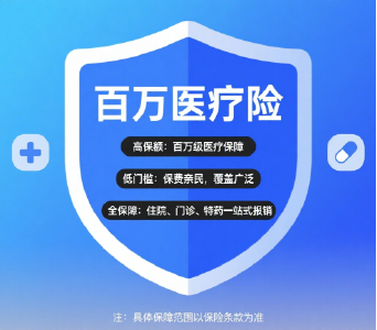《懂一点金融》低收入群体优先选择的三款保险