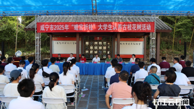 咸宁100名准大学生认养古桂花树记乡愁