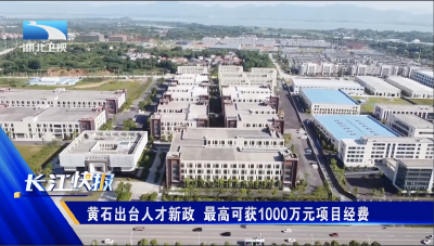 黄石出台人才新政 最高可获1000万元项目经费