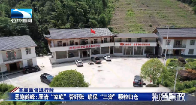 基层监督进行时丨恩施鹤峰：厘清“家底”管好账 确保“三资”颗粒归仓