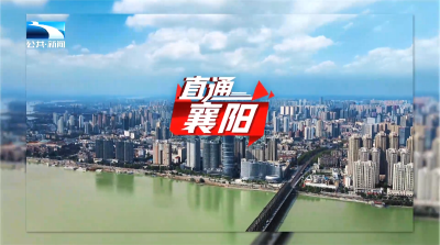 直通襄阳 | 枣阳：“两资三能” 驱动县域经济攀新高