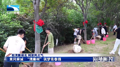 创清廉湖北 树新风正气丨黄冈麻城：“清廉树”筑梦青春路