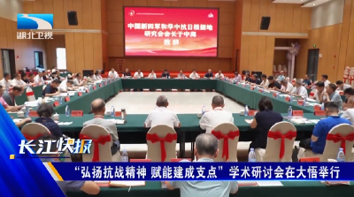 弘扬抗战精神 赋能建成支点”学术研讨会在大悟举行