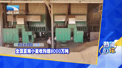 全国夏粮小麦收购超8000万吨
