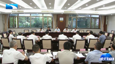 杨云彦强调 统筹谋划推动人口高质量发展