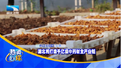 湖北将打造千亿级中药材全产业链