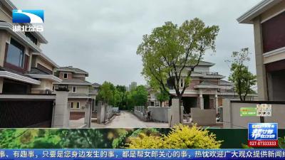 给“F天下”别墅装空气系统  40万工程款何时结？