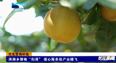 优化营商环境｜洪湖乡情吸引“归雁”  暖心服务助产业腾飞