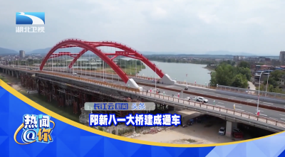 阳新八一大桥建成通车
