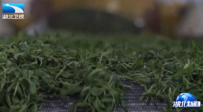 第三届楚茶杯斗茶大赛结果揭晓 标准化生产成为“茶王”标配