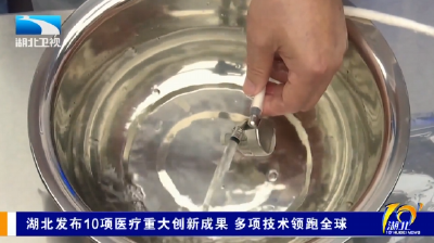 湖北发布10项医疗重大创新成果 多项技术领跑全球