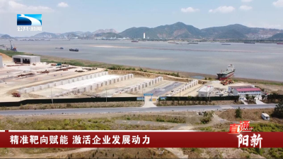 黄石阳新：精准靶向赋能 激活企业发展动力