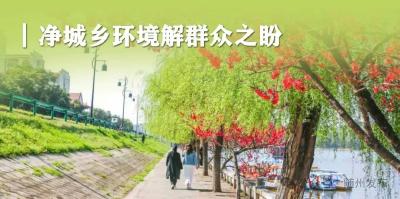 净环境、优服务、清风气！ “三招” 破解发展难题，随州气场全开