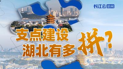 支点建设，湖北有多“拼”？