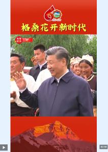视频丨格桑花开新时代
