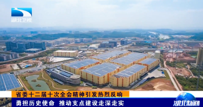 省委十二届十次全会精神引发热烈反响 | 勇担历史使命 推动支点建设走深走实