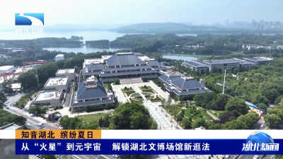 知音湖北 缤纷夏日｜从“火星”到元宇宙  解锁湖北文博场馆新逛法
