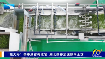长江观察丨“楚天好” 茶香港首秀收官 湖北茶香加速飘向全球