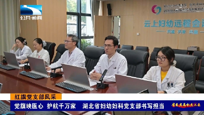 红旗党支部风采 | 党旗映医心 护航千万家 湖北省妇幼妇科党支部书写担当
