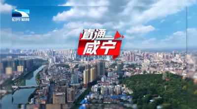 直通咸宁 | 咸安半年经济观察