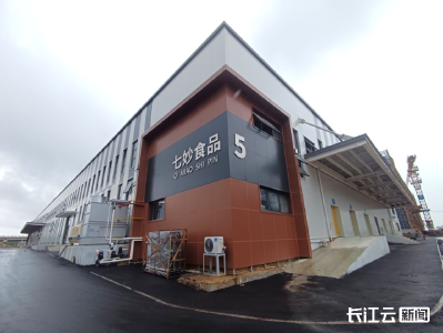 一天加工180万枚鸡蛋 记者探访湖北最大蛋液生产线