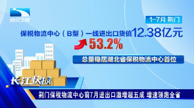 荆门保税物流中心前7月进出口激增超五成 增速领跑全省