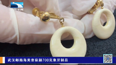 武汉邮局海关查获超700克象牙制品