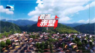 直通赤壁 | “一张处方”破局群众就医“三难”