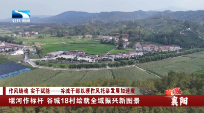 襄阳：堰河作标杆 谷城18村绘就全域振兴新图景