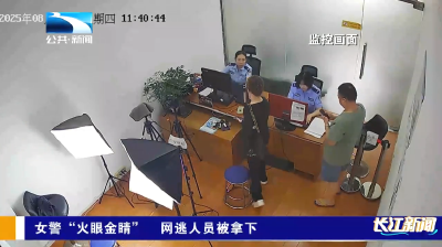 女警“火眼金睛” 网逃人员被拿下