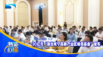 30亿元“湖北咸宁高新产业区域母基金”发布