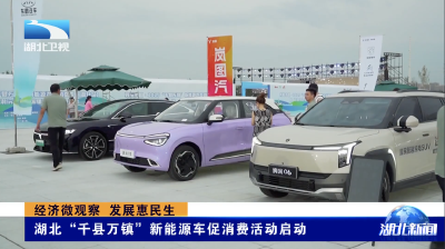 经济微观察 发展惠民生｜湖北“千县万镇”新能源车促消费活动启动