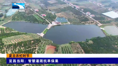 宜昌当阳：智慧灌溉抗旱保果