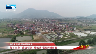 高质量党建引领高质量发展∣黄石大冶：党建引领 绘就乡村振兴新画卷