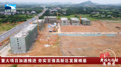 黄石大冶湖高新区：重大项目加速推进 夯实百强高新区发展根基