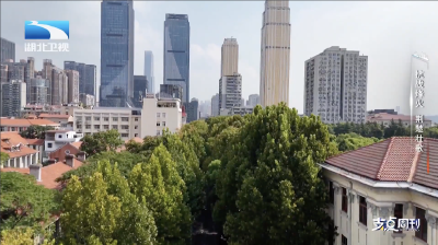 抗战烽火 荆楚壮歌｜胜利之光—— 每座受降城市都有一条胜利街