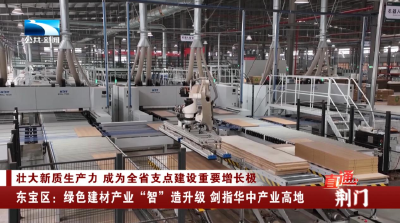 荆门东宝区：绿色建材产业“智”造升级 剑指华中产业高地