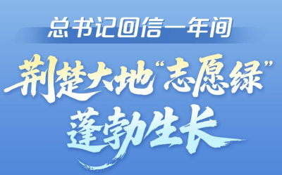 总书记回信一年间，这抹“志愿绿”蓬勃生长